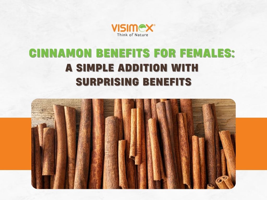 Cinnamon Benefits for Females: A Simple Addition with Surprising Benefits
