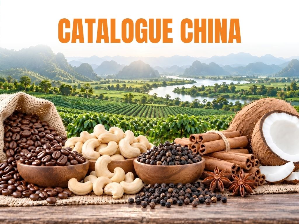 Catalogue China